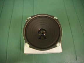 Radio Speaker