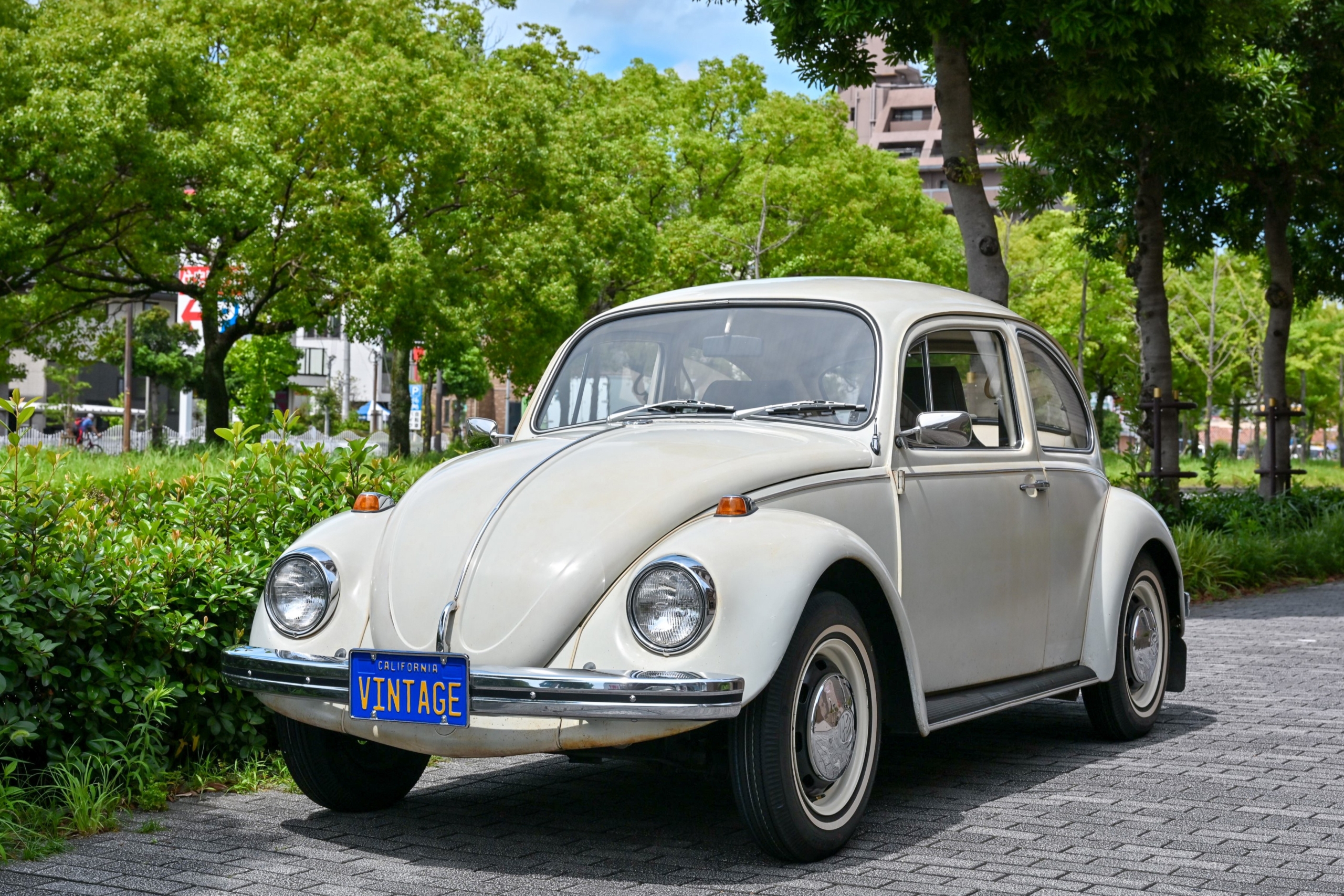 空冷VW NZ9_1607-2gv2-scaled.jpg